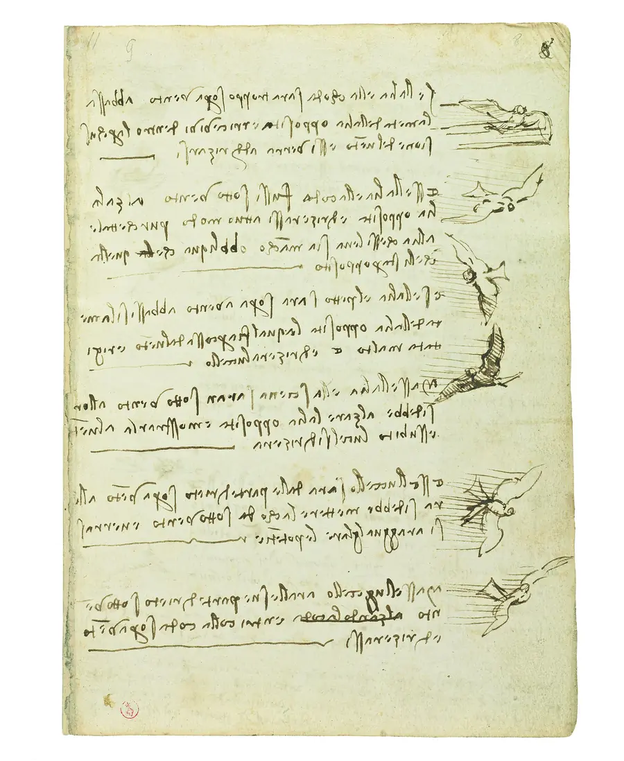 A page of Leonardo’s notebook: mirror-written notes beside small sketches of birds in flight.